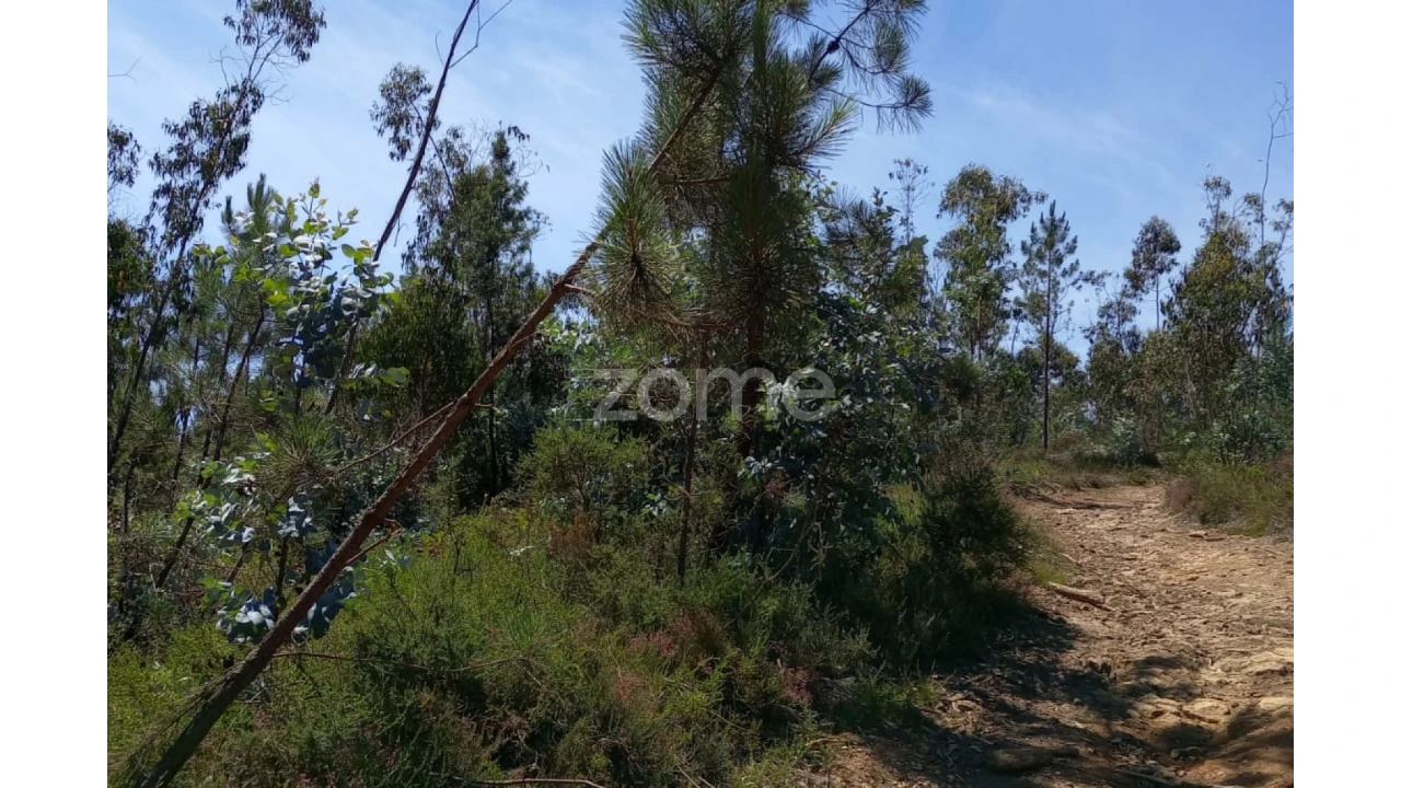 Terreno para Venda em Vilarinho das Cambas Foto 18