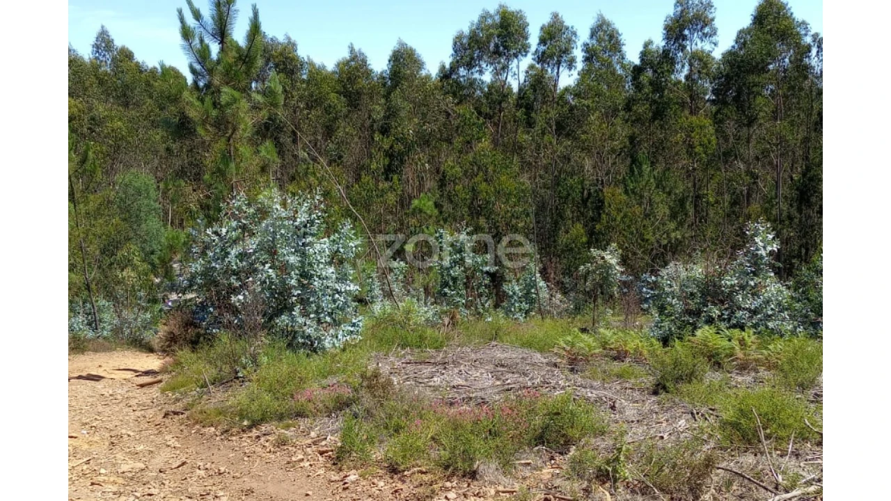 Terreno para Venda em Vilarinho das Cambas Foto 20