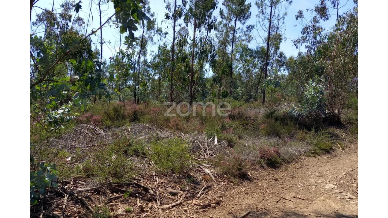 Terreno para Venda em Vilarinho das Cambas Foto 22
