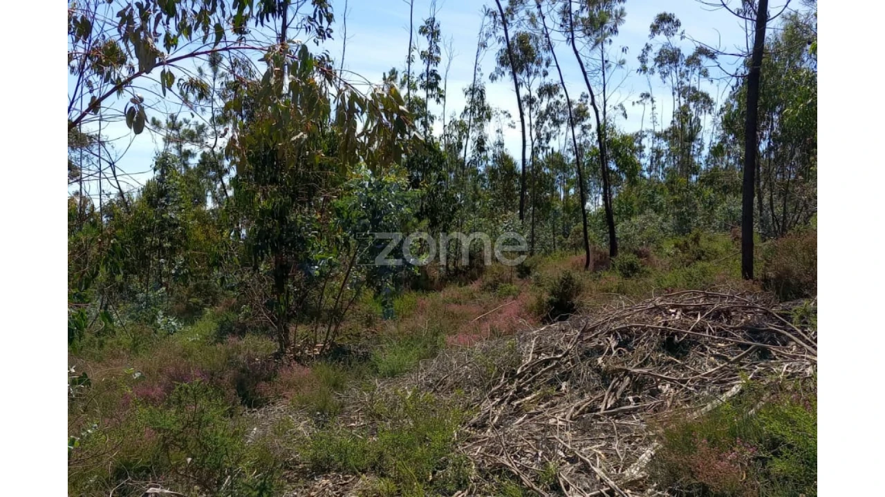 Terreno para Venda em Vilarinho das Cambas Foto 25