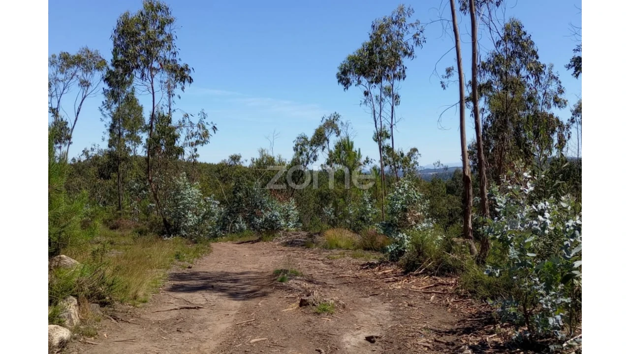 Terreno para Venda em Vilarinho das Cambas Foto 5