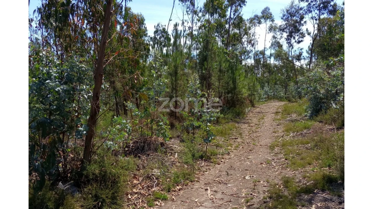 Terreno para Venda em Vilarinho das Cambas Foto 6