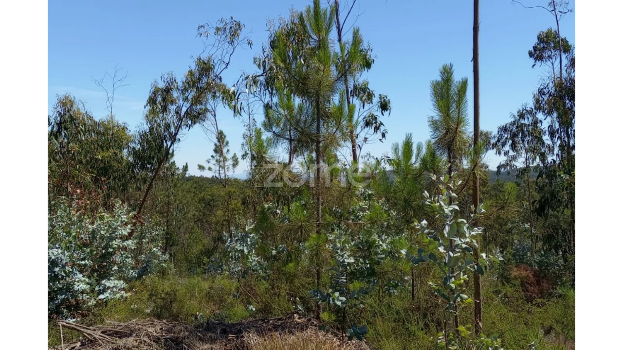 Terreno para Venda em Vilarinho das Cambas Foto 7
