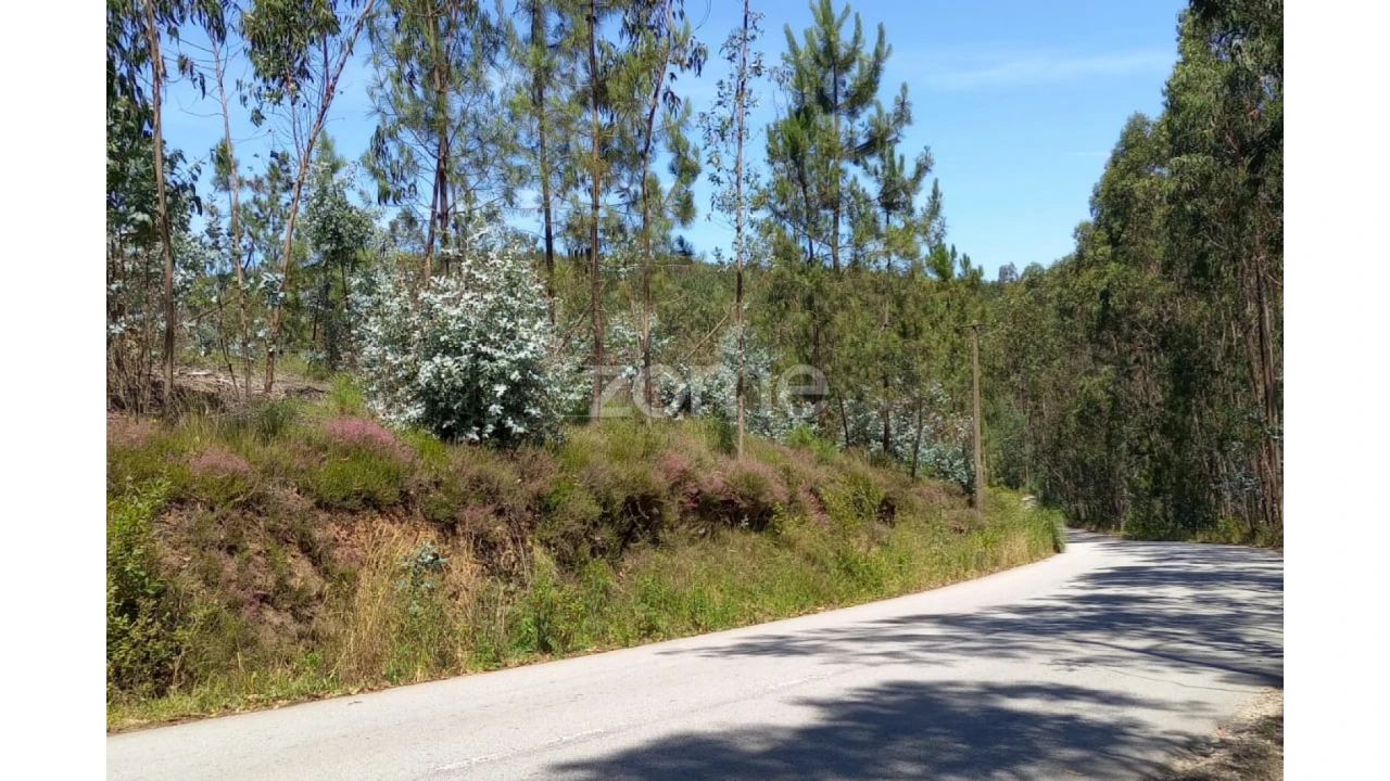 Terreno para Venda em Vilarinho das Cambas Foto 10