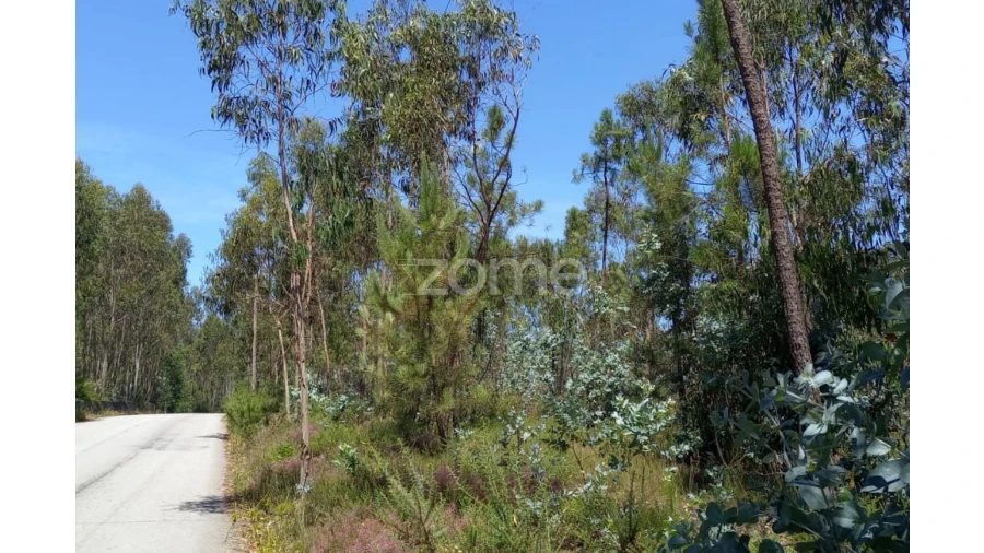 Terreno para Venda em Vilarinho das Cambas Foto 13