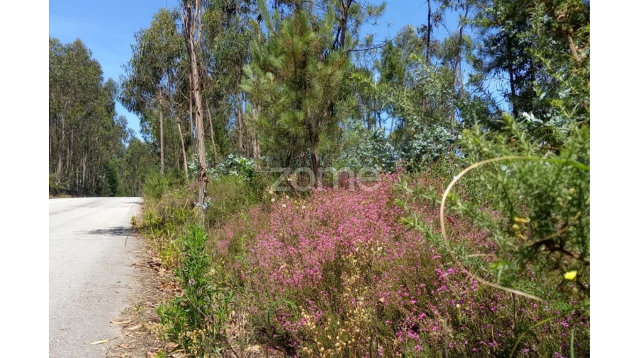 Terreno para Venda em Vilarinho das Cambas Foto 14