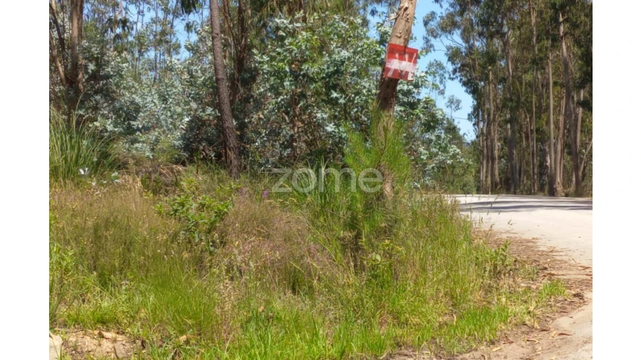 Terreno para Venda em Vilarinho das Cambas Foto 16