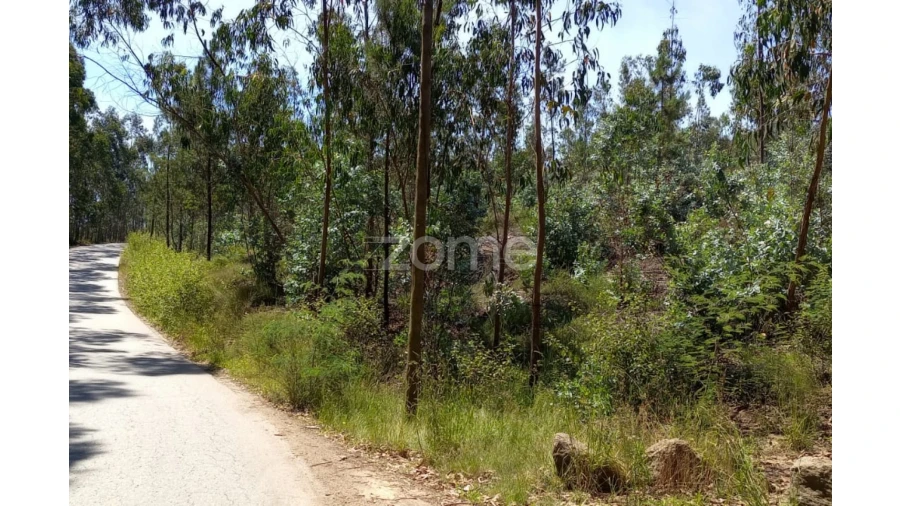 Terreno para Venda em Vilarinho das Cambas Foto 24
