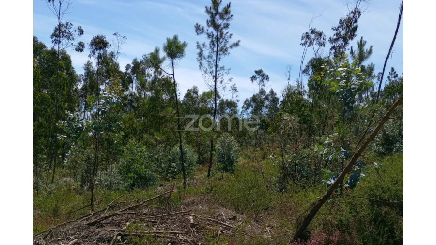 Terreno para Venda em Vilarinho das Cambas Foto 19