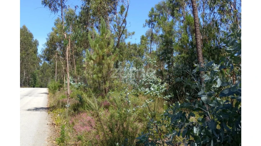 Terreno para Venda em Vilarinho das Cambas Foto 4