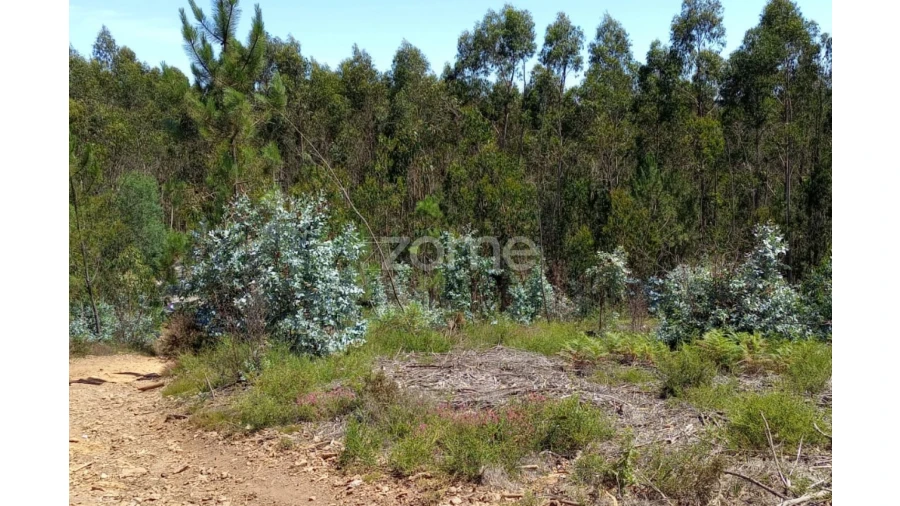 Terreno para Venda em Vilarinho das Cambas Foto 20