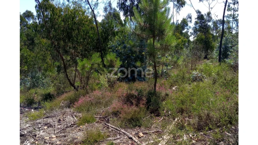 Terreno para Venda em Vilarinho das Cambas Foto 21