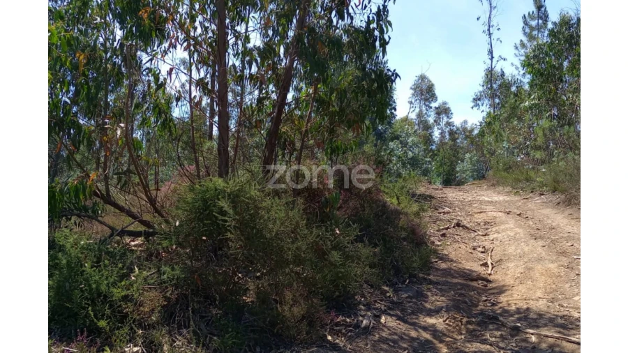 Terreno para Venda em Vilarinho das Cambas Foto 23