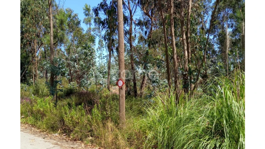 Terreno para Venda em Vilarinho das Cambas Foto 26