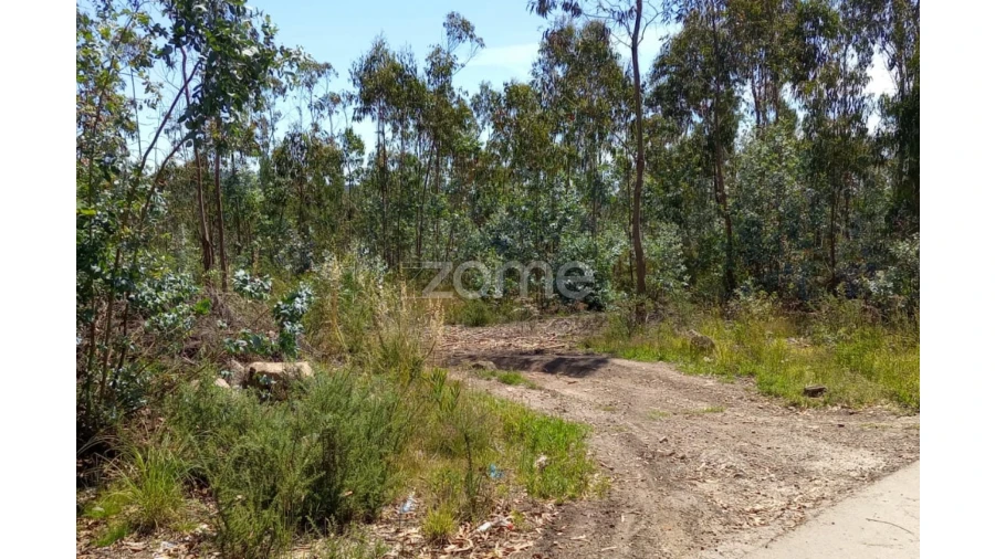 Terreno para Venda em Vilarinho das Cambas Foto 1