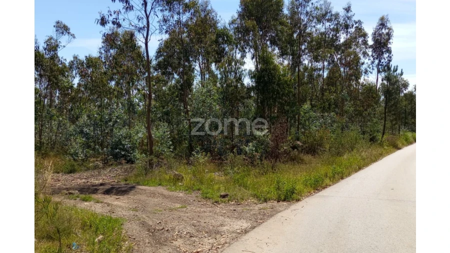 Terreno para Venda em Vilarinho das Cambas Foto 5