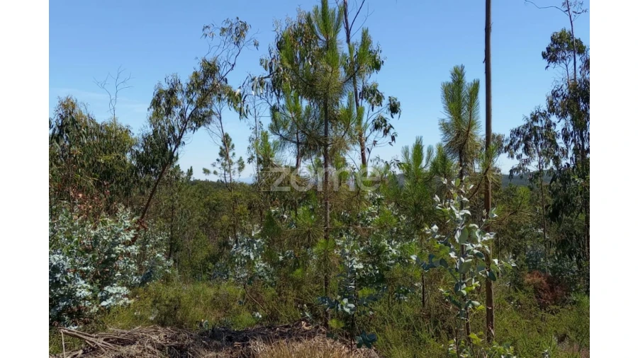 Terreno para Venda em Vilarinho das Cambas Foto 8