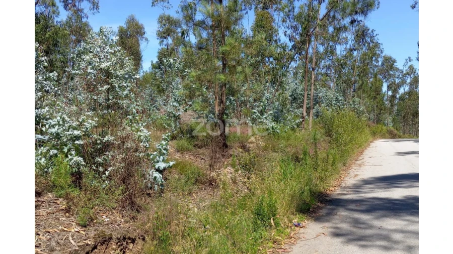 Terreno para Venda em Vilarinho das Cambas Foto 9