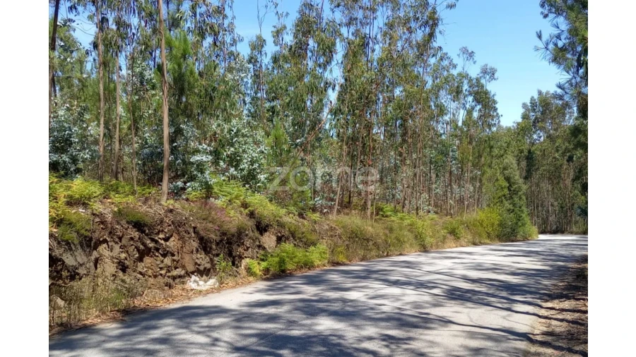 Terreno para Venda em Vilarinho das Cambas Foto 10