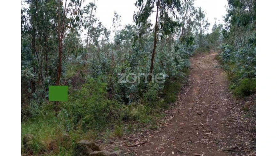 Terreno para Venda em Vilarinho das Cambas Foto 3