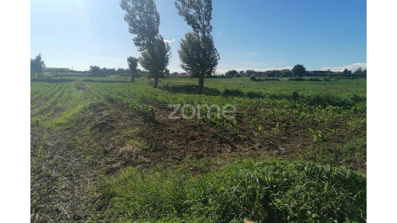 Terreno para Venda em Fradelos Foto 11