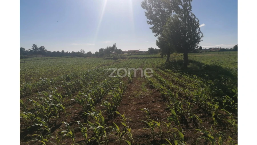 Terreno para Venda em Fradelos Foto 10