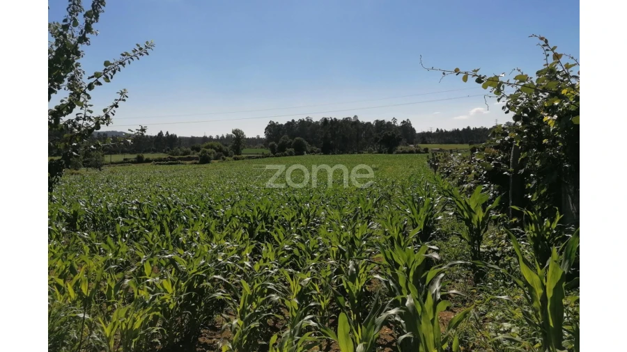 Terreno para Venda em Fradelos Foto 5