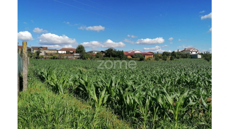 Terreno para Venda em Fradelos Foto 6