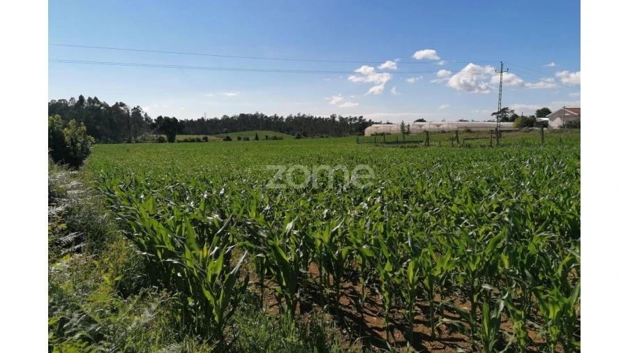 Terreno para Venda em Fradelos Foto 7