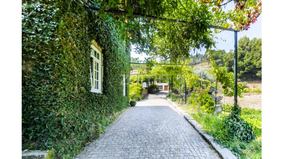 Quinta T5 para Venda em Gondar Foto 66