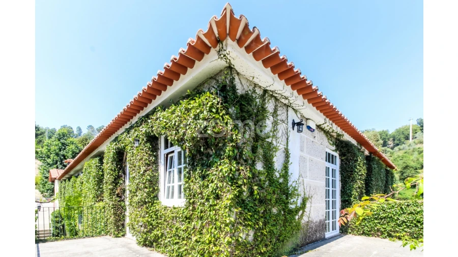 Quinta T5 para Venda em Gondar Foto 38