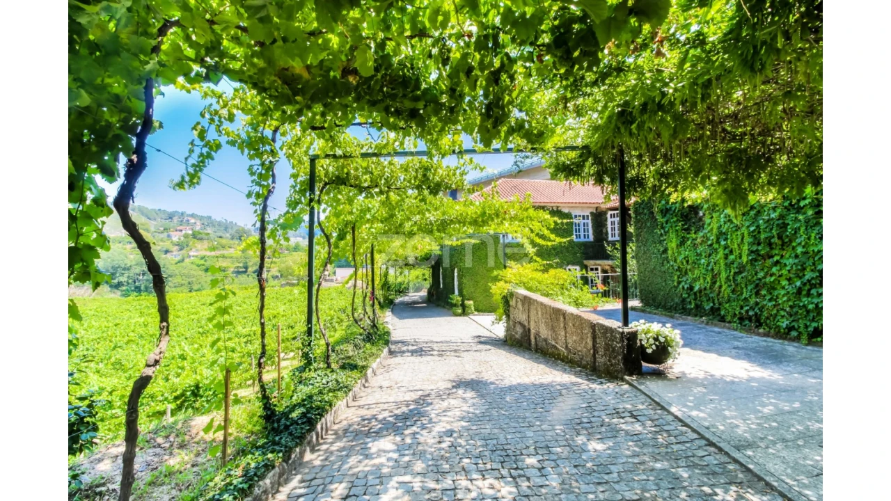 Quinta T5 para Venda em Gondar Foto 65