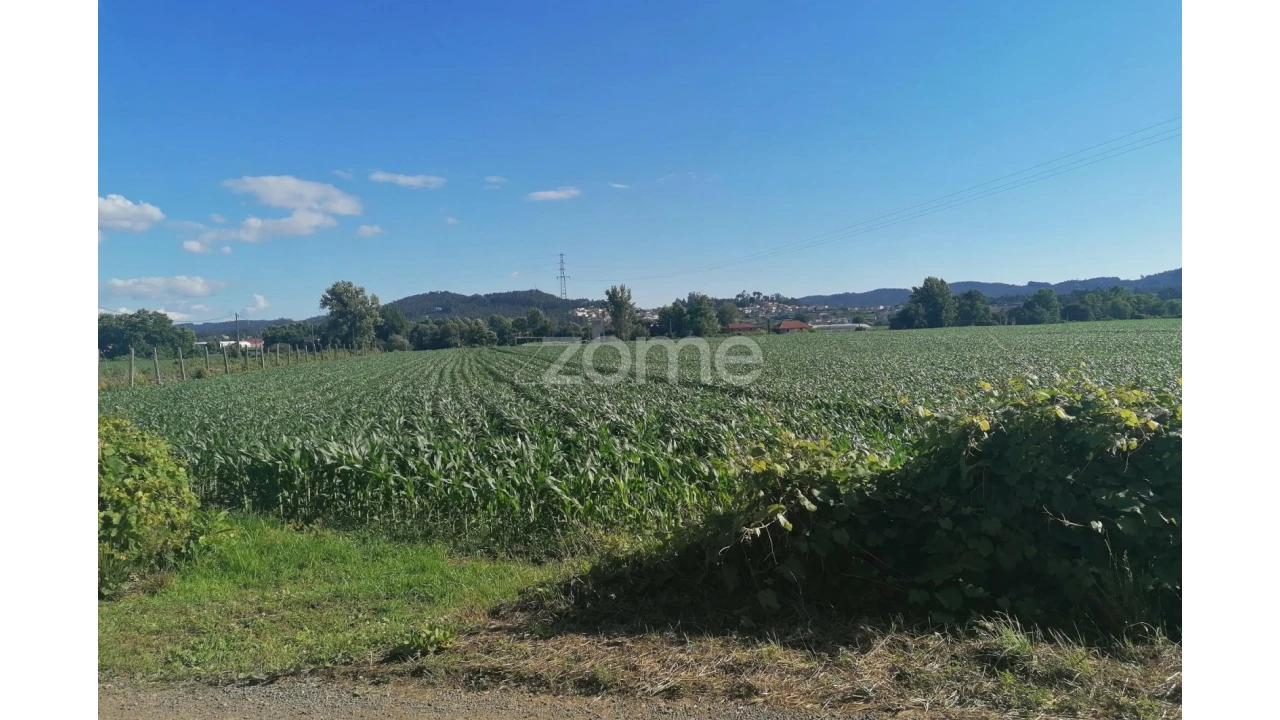 Terreno para Venda em Fradelos Foto 6