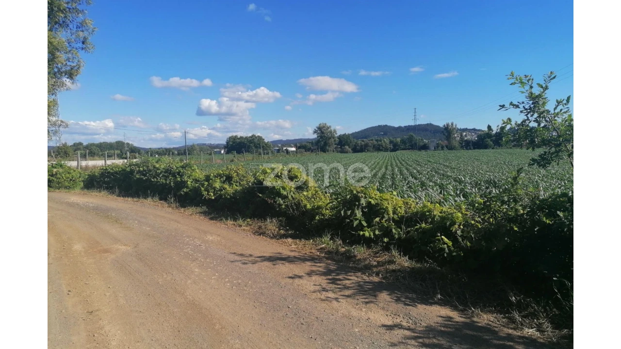 Terreno para Venda em Fradelos Foto 1