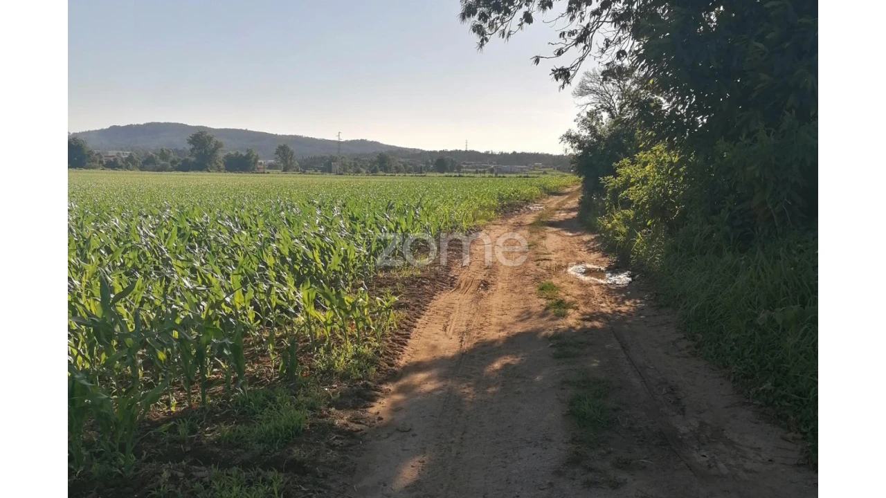 Terreno para Venda em Fradelos Foto 13