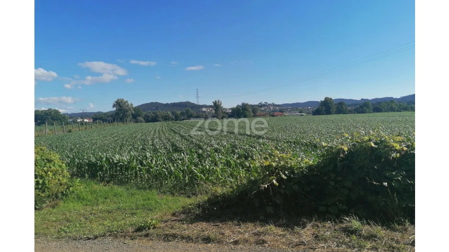 Terreno para Venda em Fradelos Foto 6