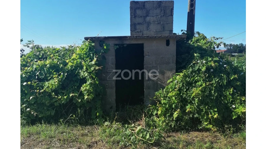 Terreno para Venda em Fradelos Foto 9