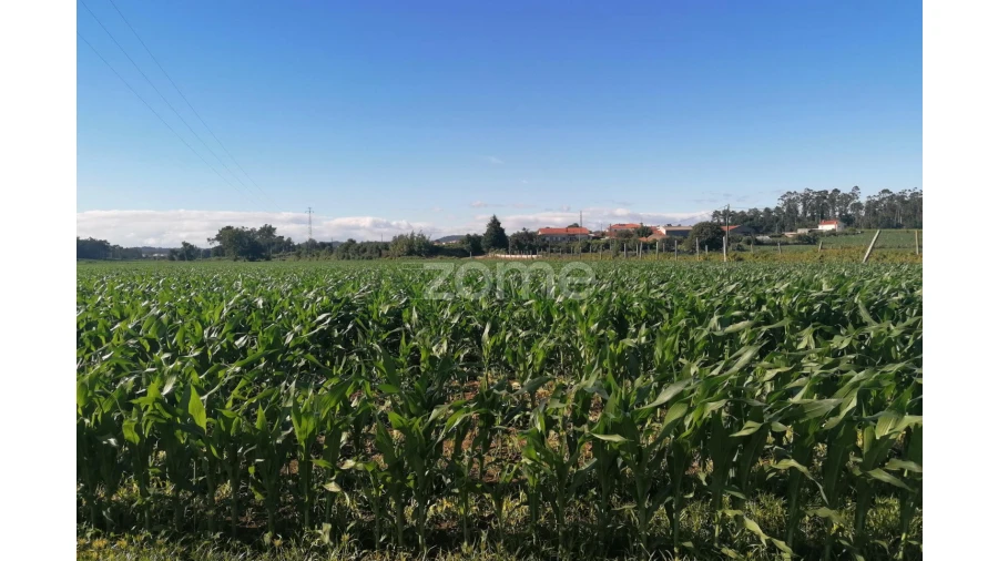 Terreno para Venda em Fradelos Foto 10