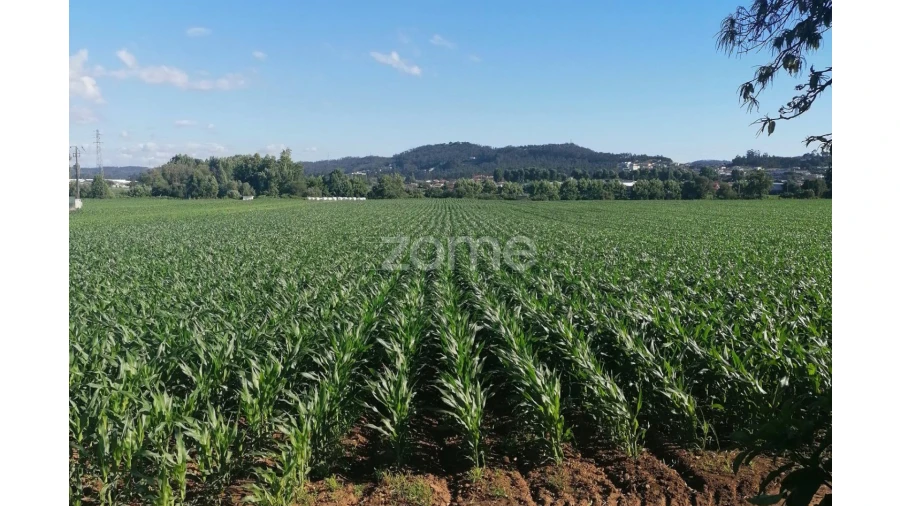 Terreno para Venda em Fradelos Foto 11