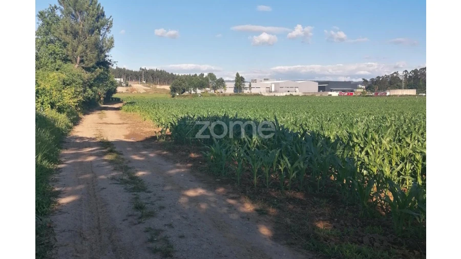 Terreno para Venda em Fradelos Foto 12