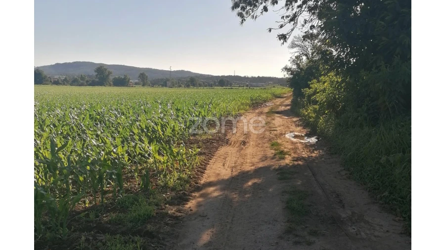 Terreno para Venda em Fradelos Foto 15