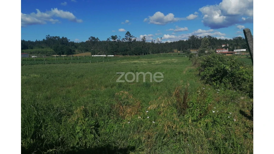 Terreno para Venda em Fradelos Foto 14