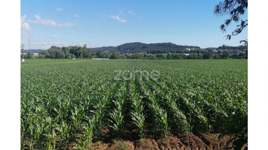 Terreno para Venda em Fradelos Foto 2