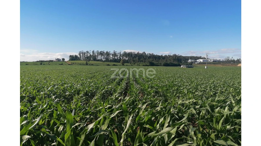 Terreno para Venda em Fradelos Foto 10