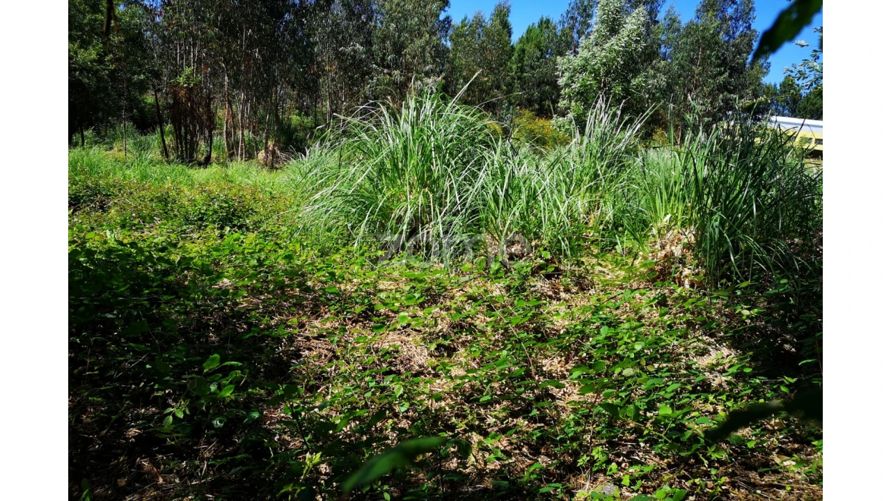 Terreno para Venda em Fânzeres e São Pedro da Cova Foto 12