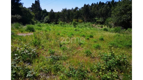 Terreno para Venda em Fânzeres e São Pedro da Cova