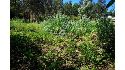 Terreno para Venda em Fânzeres e São Pedro da Cova