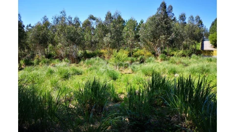 Terreno para Venda em Fânzeres e São Pedro da Cova