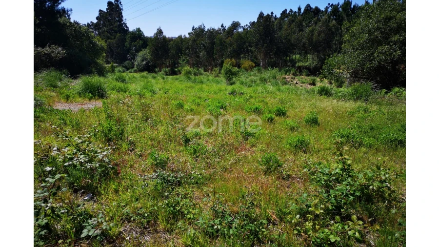 Terreno para Venda em Fânzeres e São Pedro da Cova Foto 11