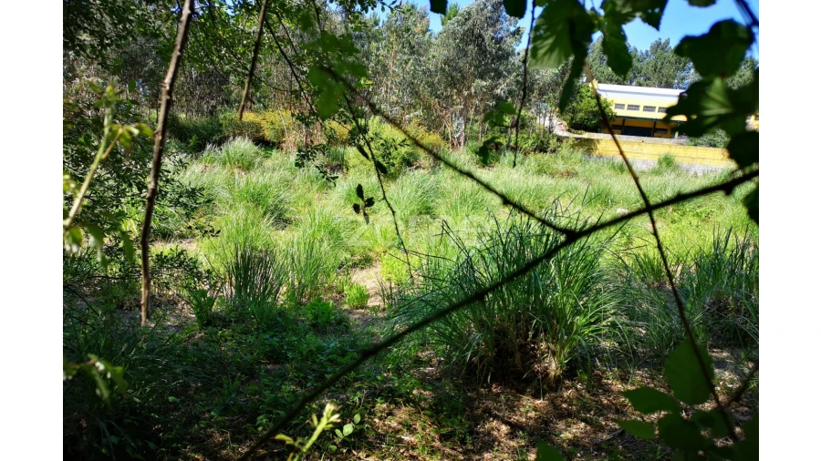 Terreno para Venda em Fânzeres e São Pedro da Cova Foto 13